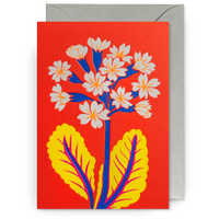 Gullviva Floral | Hanna Werning | Greeting Card